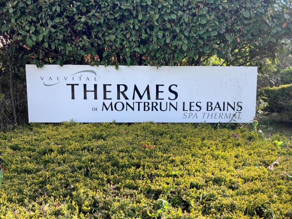 La Vue Est Belle Διαμέρισμα Montbrun-les-Bains Εξωτερικό φωτογραφία